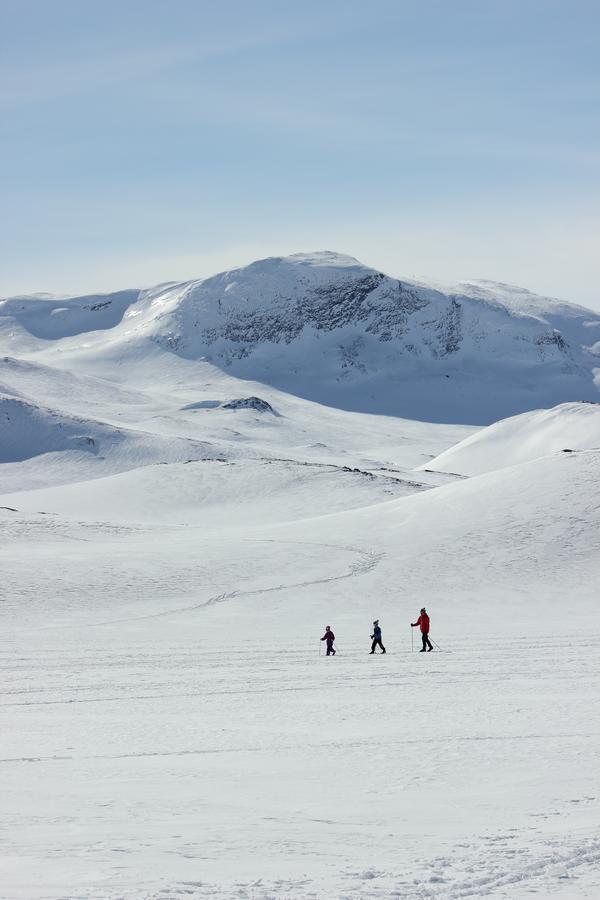 Bygdin Hoyfjellshotell Beitostolen Exteriér fotografie