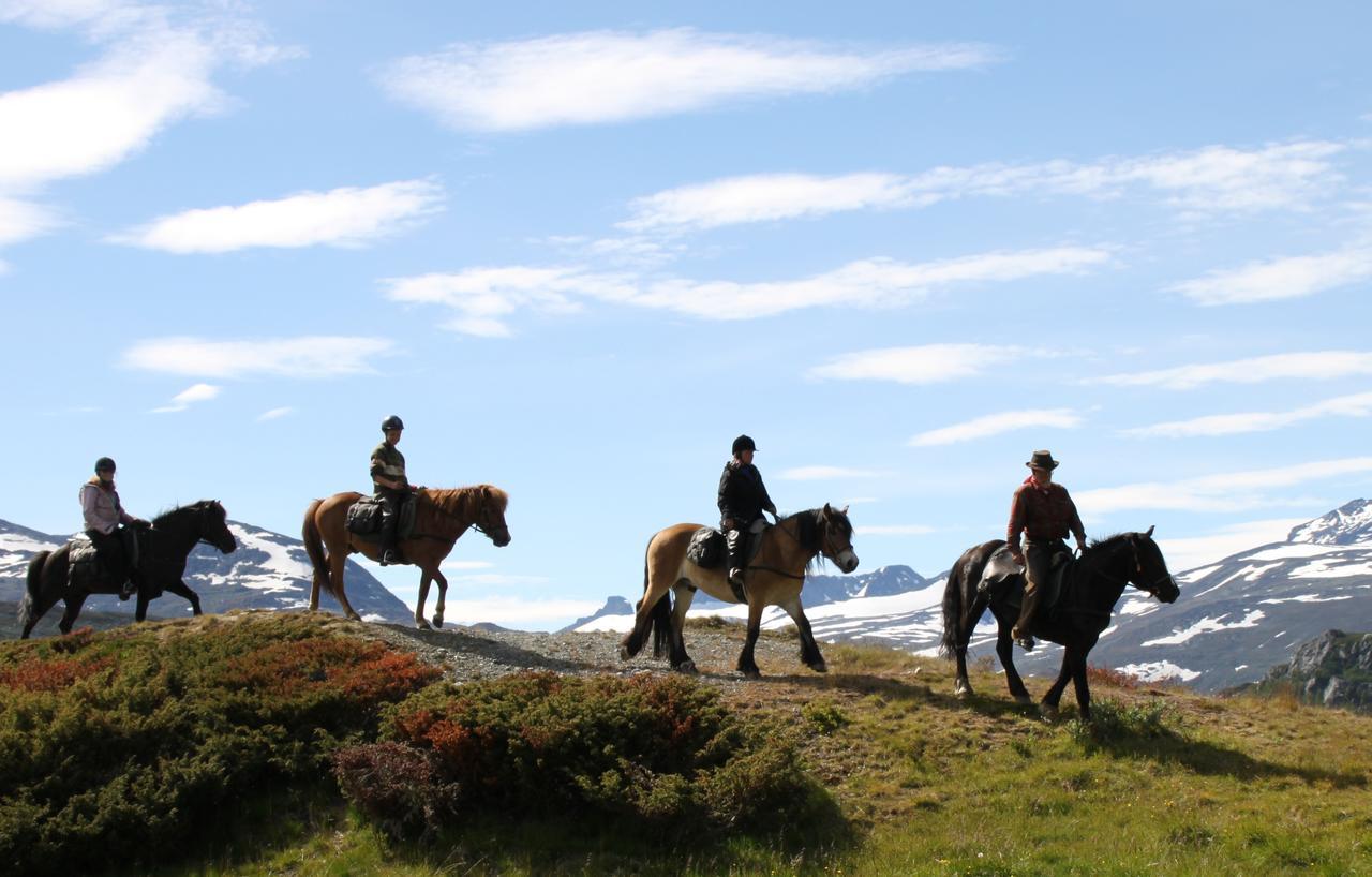 Bygdin Hoyfjellshotell Beitostolen Exteriér fotografie